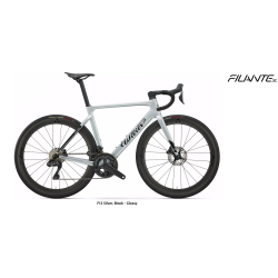 WILIER FILANTE SL DISC 105 di2 12sp MICHE S50 SILVER BLACK