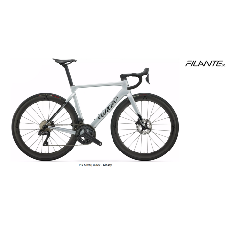 WILIER FILANTE SL DISC 105 di2 12sp MICHE S50...