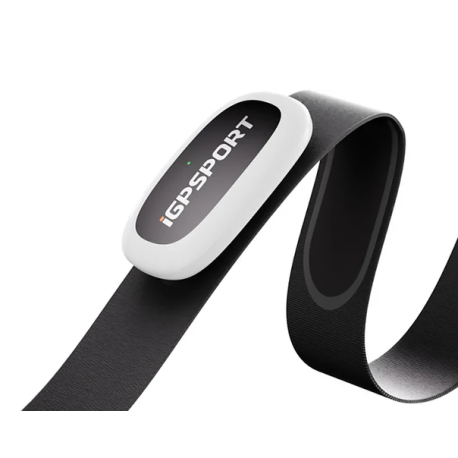 Pulsband  IGPSport HR50